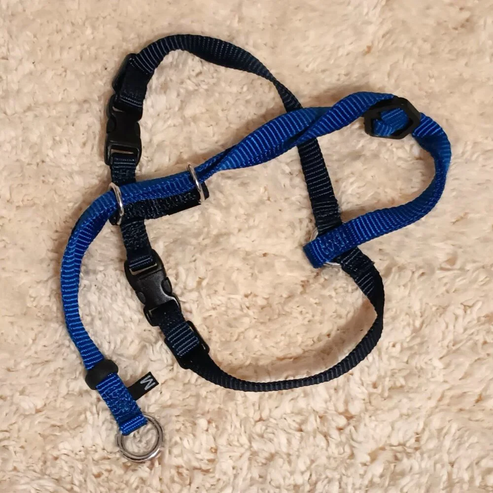 EUC~ PetSafe Come w/ Me Kitty Nylon Cat Harness & Bungee Leash + 1 Red Harness
